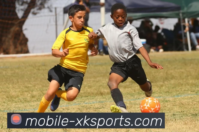 XK星空体育平台生态图