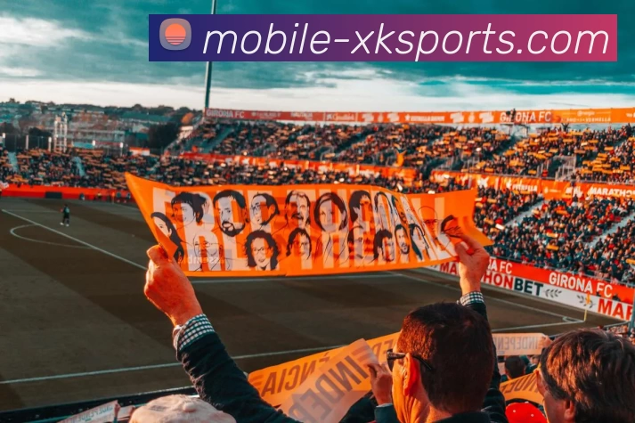 XK星空体育全站App